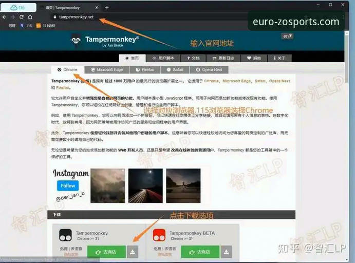 中欧体育移动端攻略：从安装到精通的操作教程
